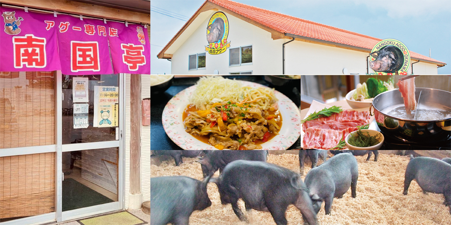 株式会社沖縄南国フーズメイン画像